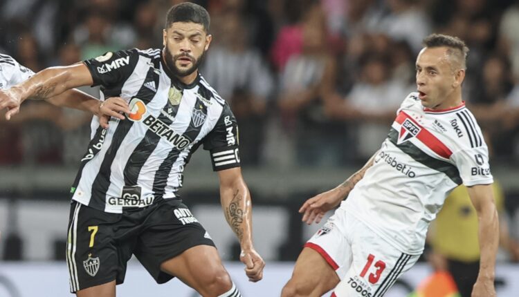 Sandro Perpétuo no Galo