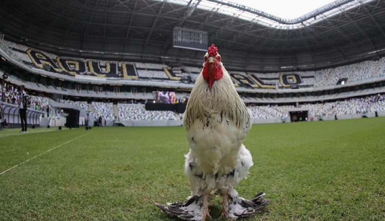 Investidores do Atlético-MG colocam dinheiro na Arena MRV visando dinamizar o desempenhos dos jogadores do Galo ao longo da temporada 2024. Entenda